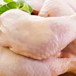 Un batterio pericoloso dal pollo