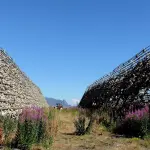 Stoccafisso: l'alleato nelle diete e contro la cellulite